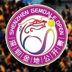 Logo Shenzhen 2015